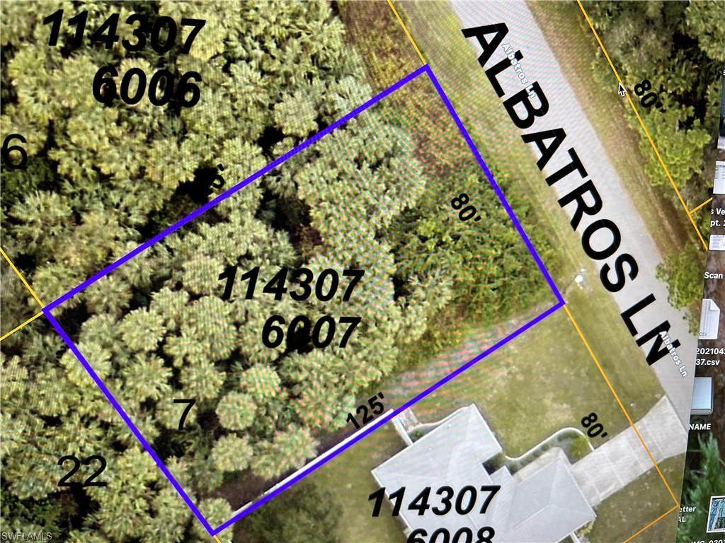 Albatros Lane - Photo 1