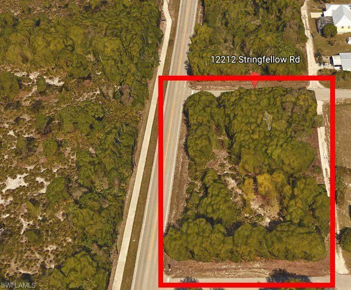 12212 Stringfellow Road - Photo 1