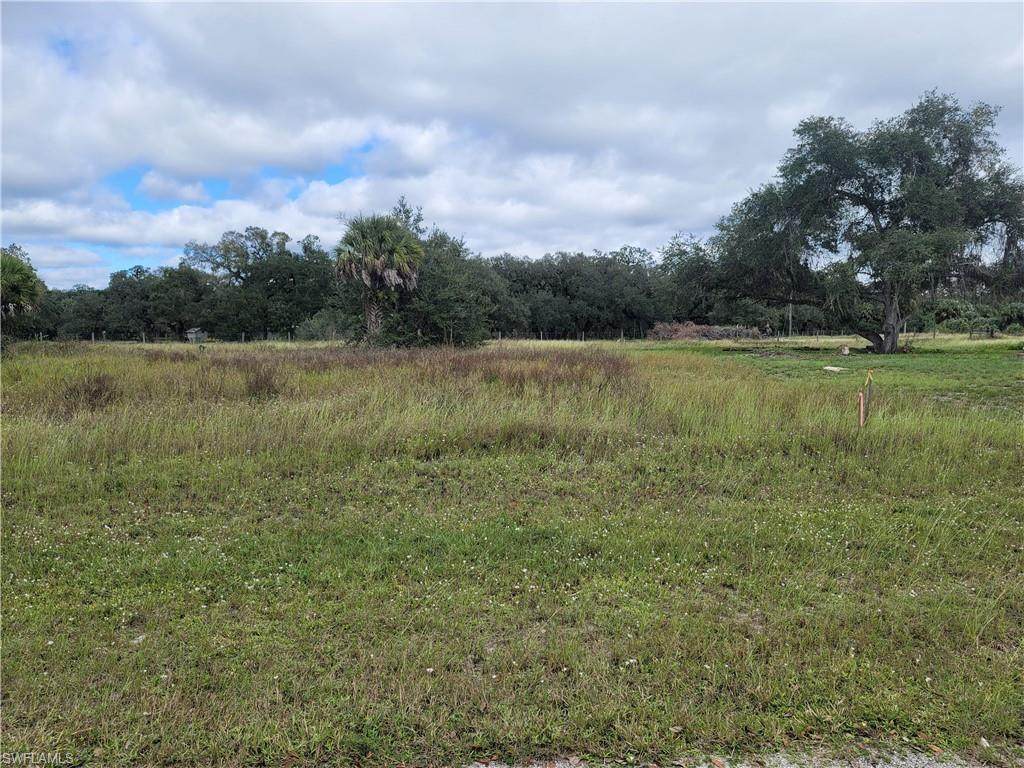 Jabara Circle - Photo 1