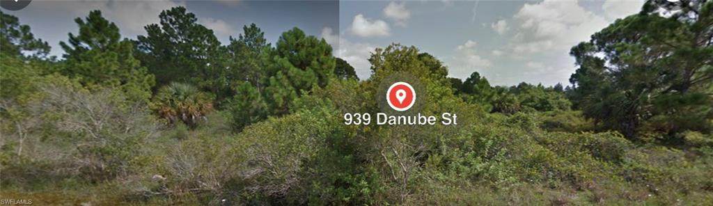 939 Danube Street - Photo 1