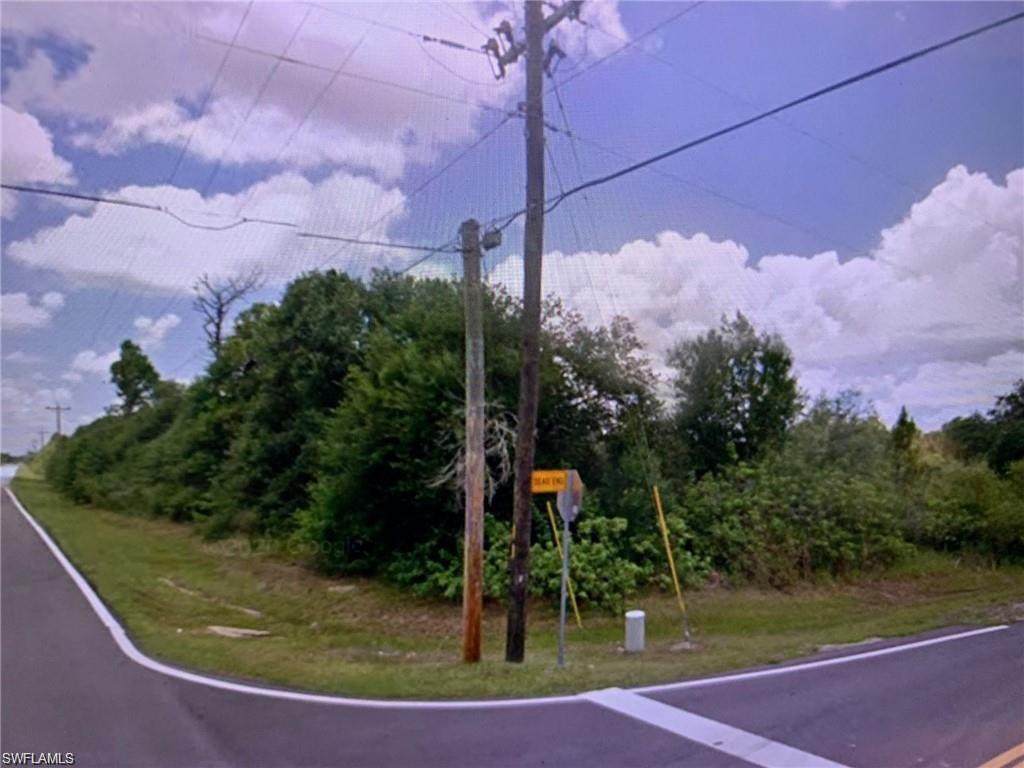XXX Everglades Boulevard - Photo 1