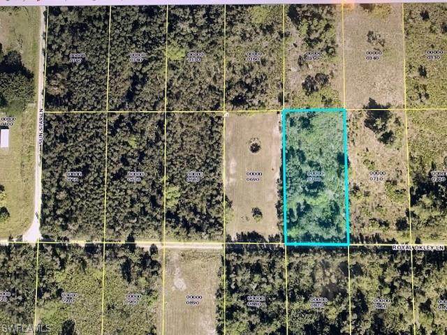 5622 Royal Okley Lane - Photo 1