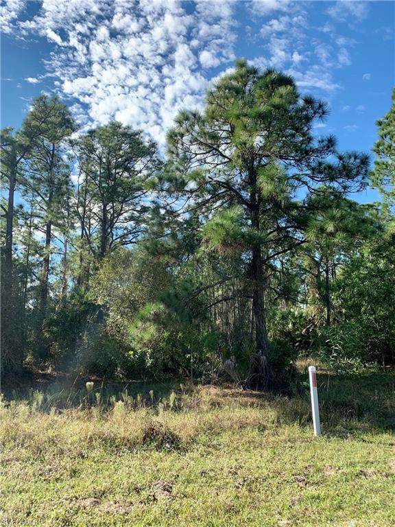3709 Sunset Road - Photo 1