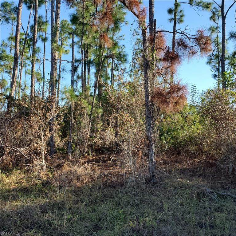 1254 Edgewood Street - Photo 1