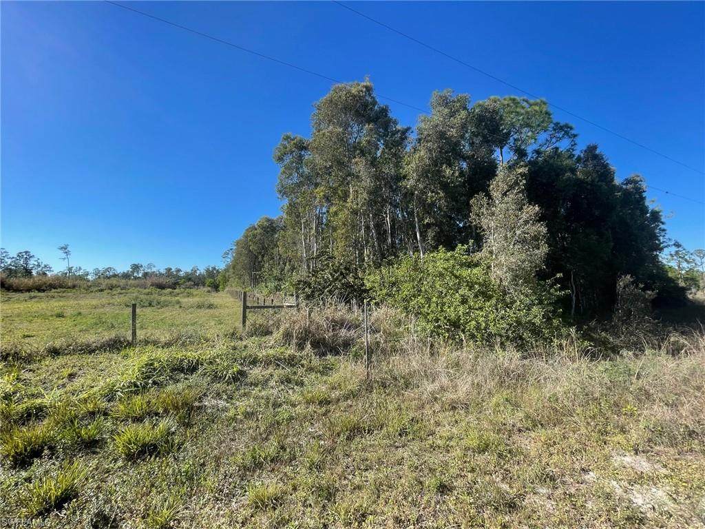 12240 Shawnee Road - Photo 1
