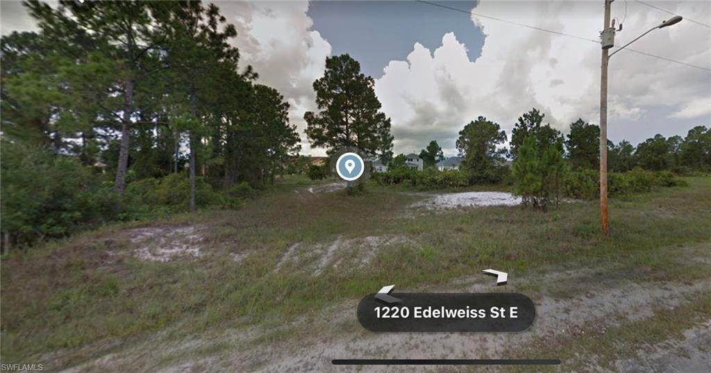 1220 Edelweiss Street - Photo 1