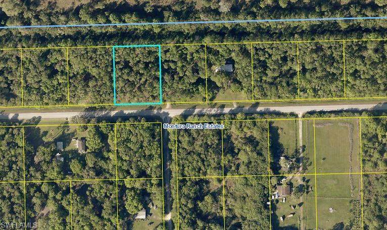 849 Woodland Boulevard - Photo 1