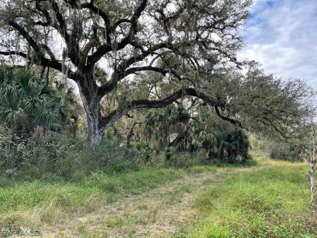 501 Norris Road - Photo 1