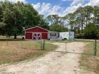 6531 Marna Lane - Photo 1