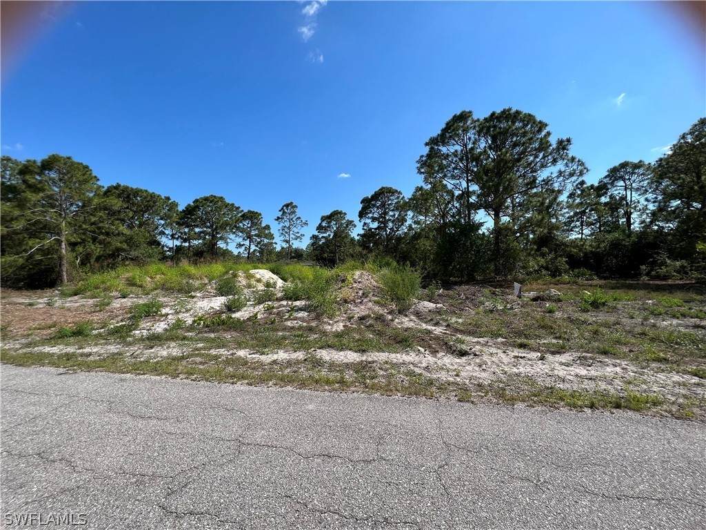 3215 Ruth Lane - Photo 1