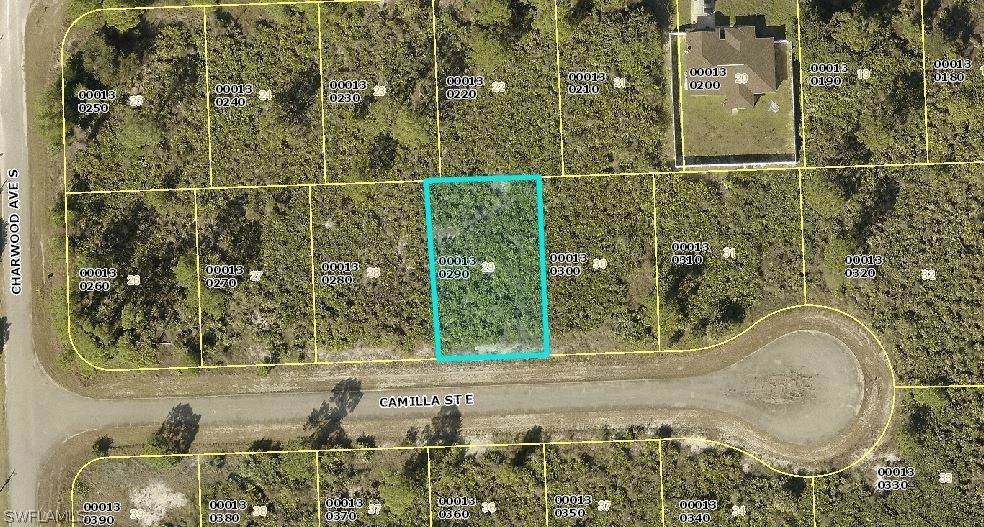 641 Camilla Street - Photo 1