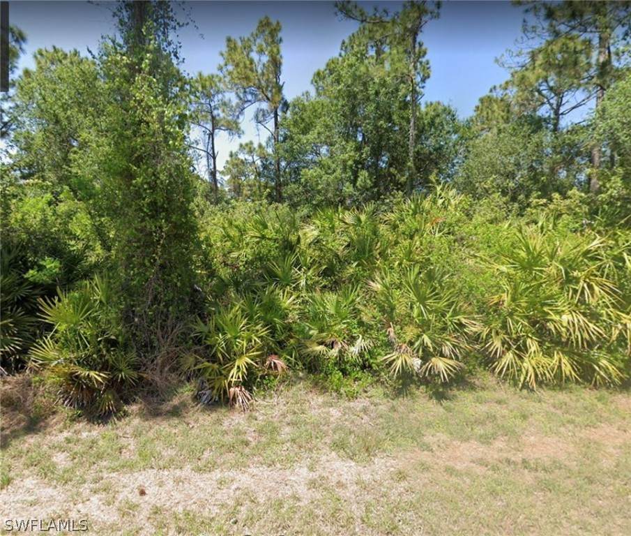 823 Clow Street - Photo 1