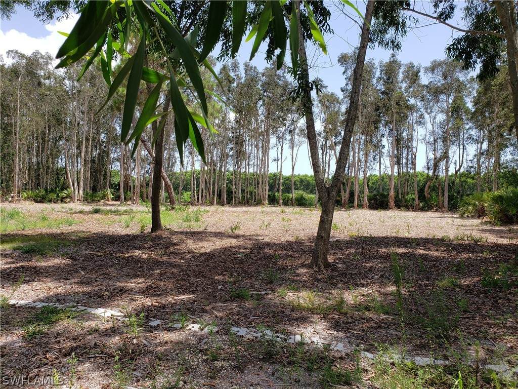6045 Cedelia Road - Photo 1