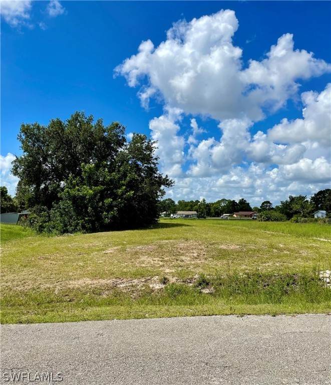 4019 6th Street - Photo 1