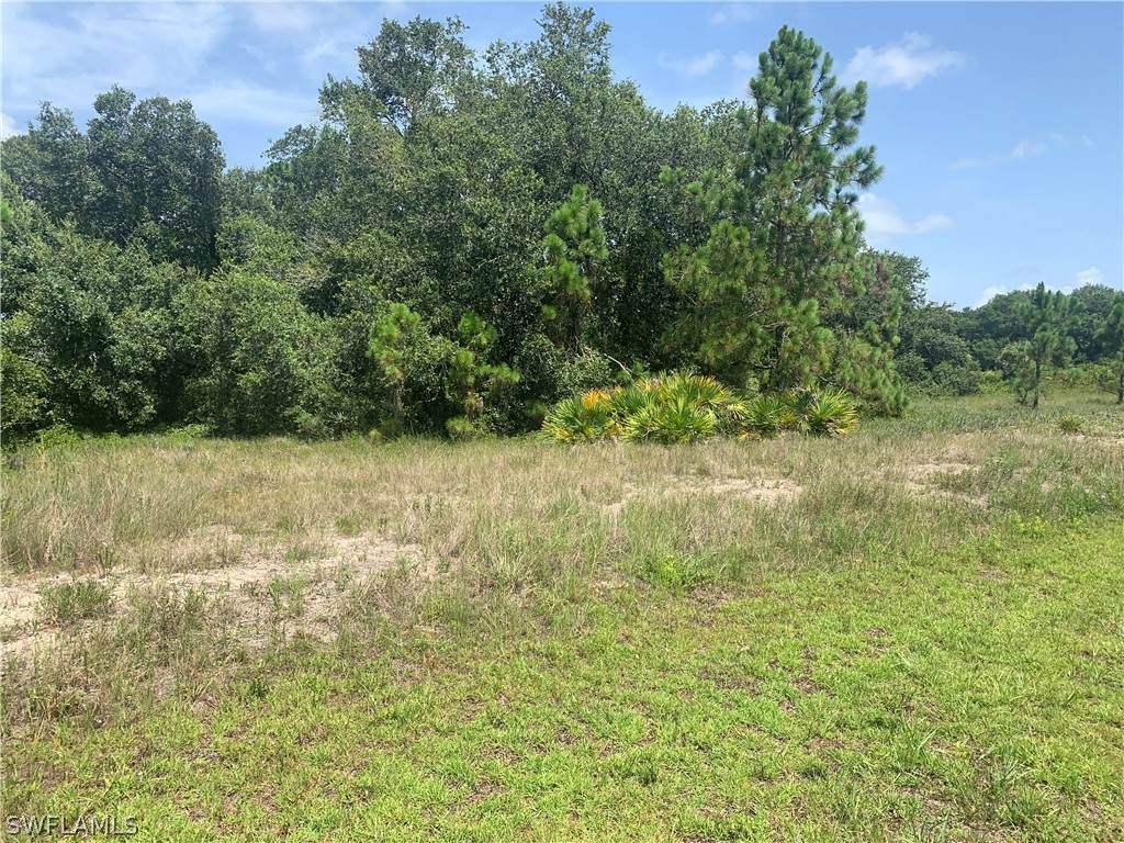 1509 Canton Avenue - Photo 1
