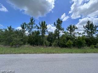 412 Yolanda Street - Photo 1