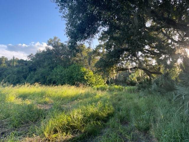 580 Norris Road - Photo 1