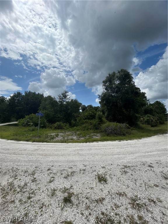 4249 26th Street - Photo 1