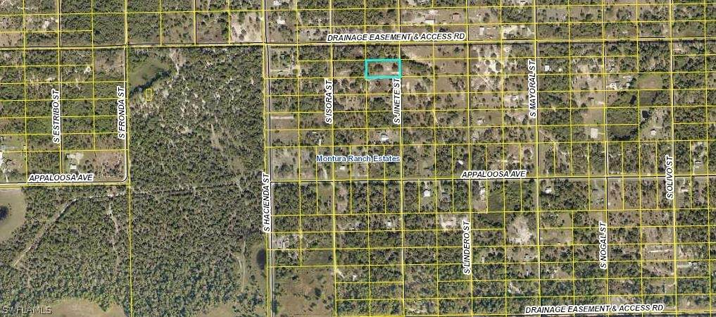 630 Jinete Street - Photo 1