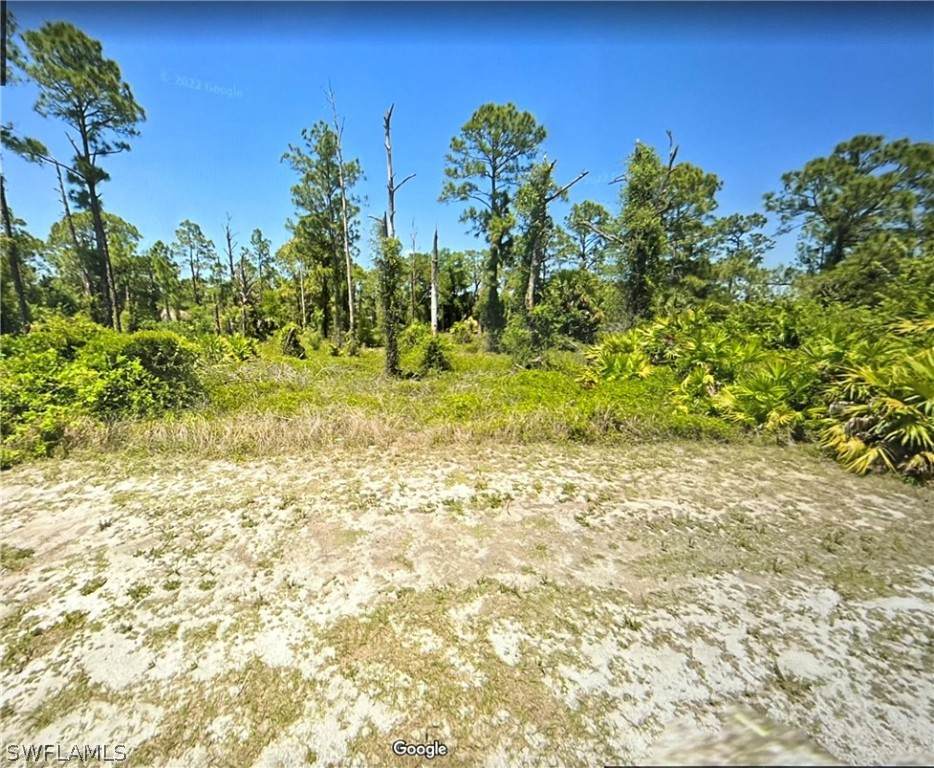 851 Carbon Street - Photo 1