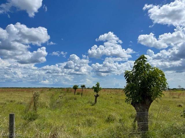 6455 3rd Road - Photo 1