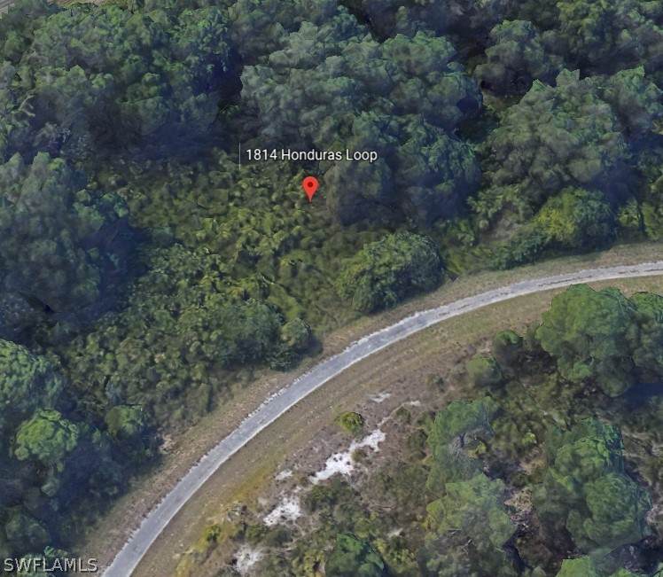 670 Stanwin Loop - Photo 1