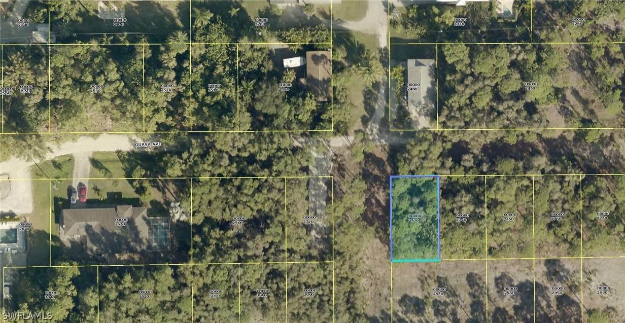7141 Guava Avenue - Photo 1