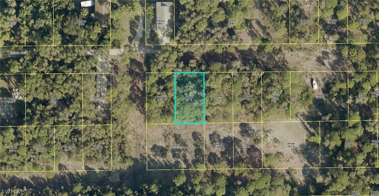 7121 Guava Avenue - Photo 1