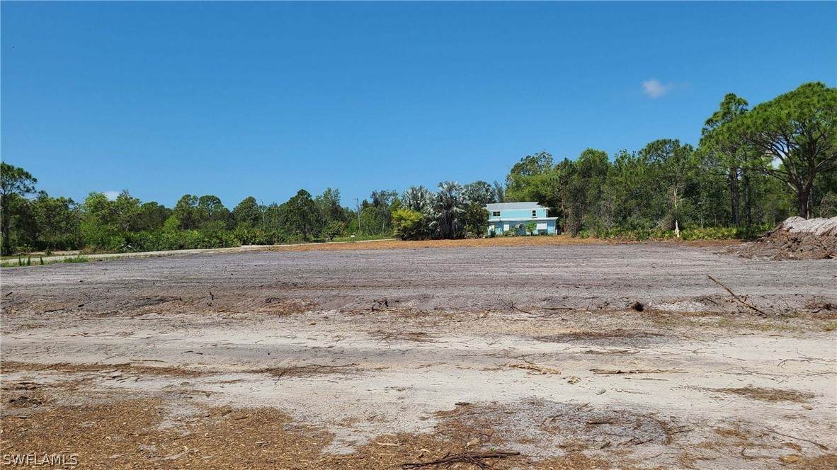 6050 Mannheim Road - Photo 1