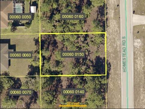812 Homestead Road - Photo 1