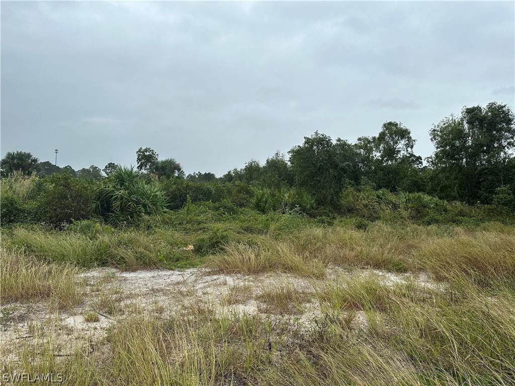 7969 1st Terrace - Photo 1