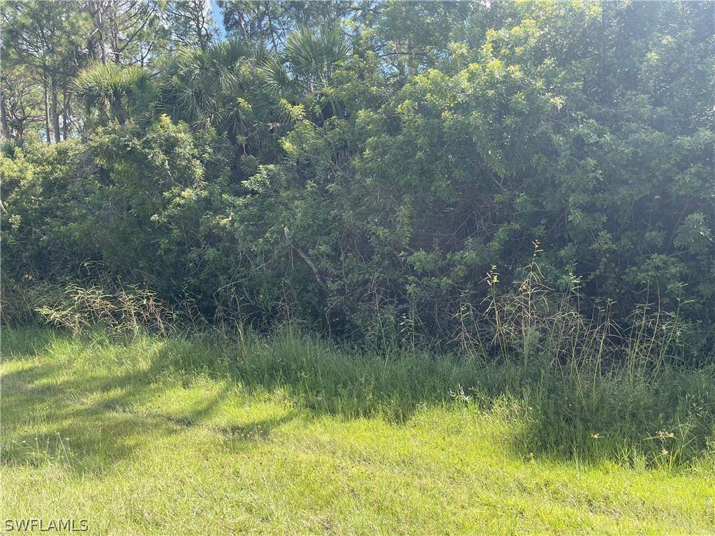 5946 David Boulevard - Photo 1
