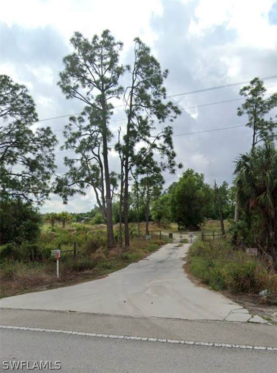 20880 Immokalee Road - Photo 1