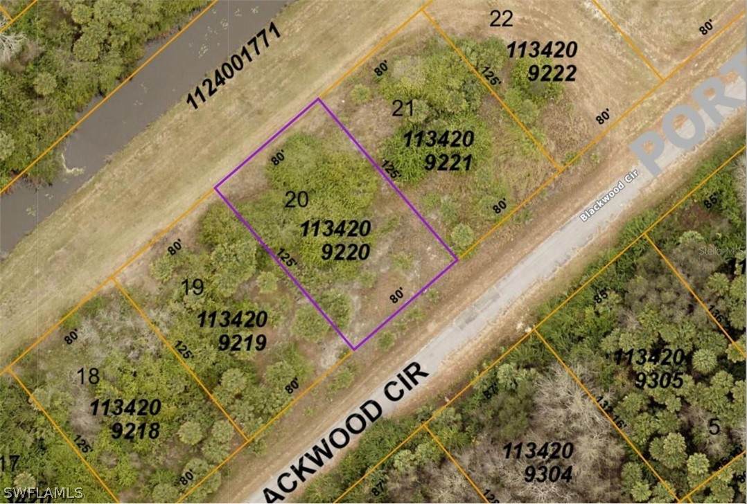 1134209220 Blackwood Circle - Photo 1