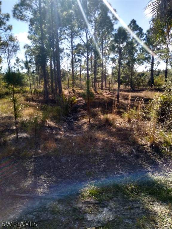 27093 Aloha Drive - Photo 1