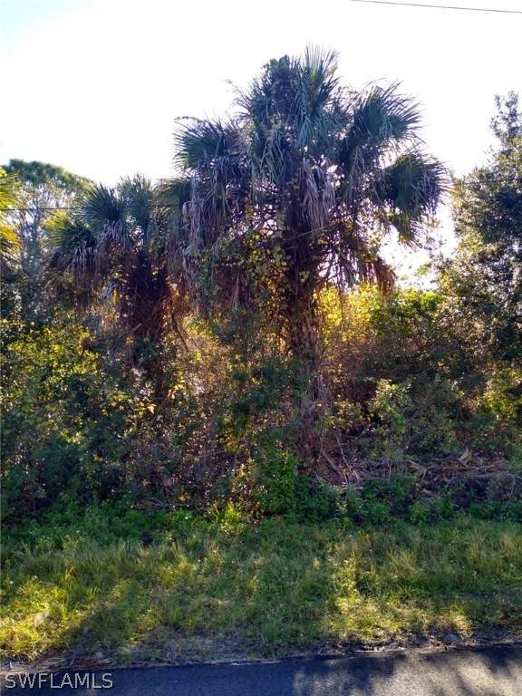 1562 Brightwater Terrace - Photo 1