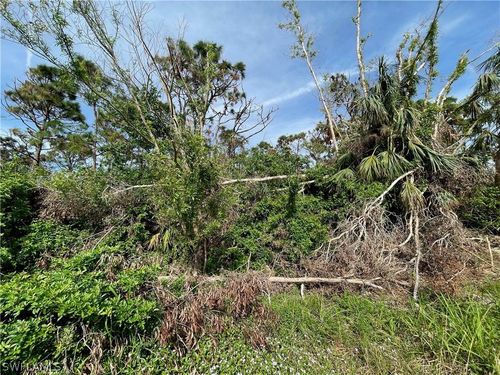 6220 Fuller Drive - Photo 1