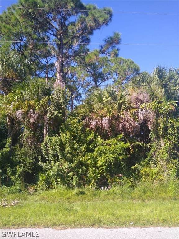 5409 Callaway Street - Photo 1