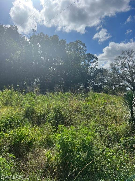 620 Olivo Street - Photo 1