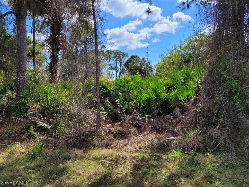Lot #31 Portago Lane - Photo 1