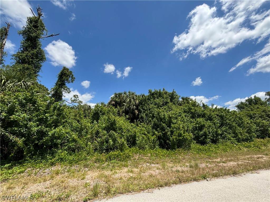 1117 Ralph Street - Photo 1