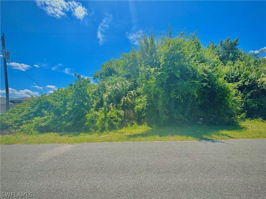 6037 Joplin Avenue - Photo 1