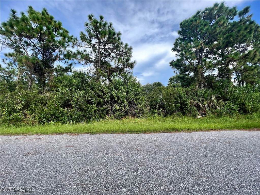 4164 Hollybrook Street - Photo 1