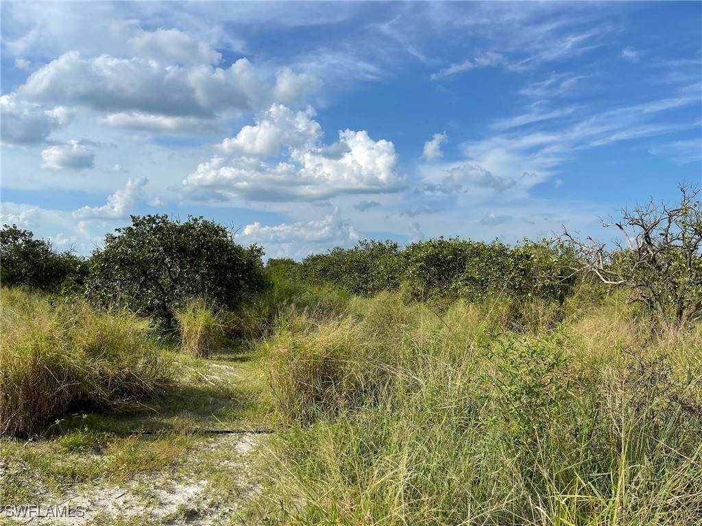 6876 5th Road - Photo 1