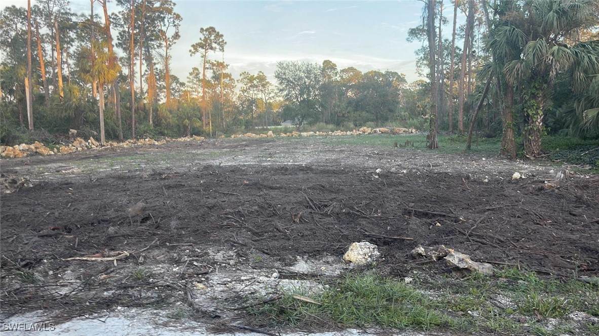 2004 Canton Avenue - Photo 1