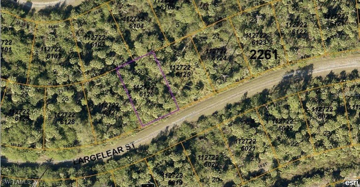 1127226126 Largeleaf Street - Photo 1