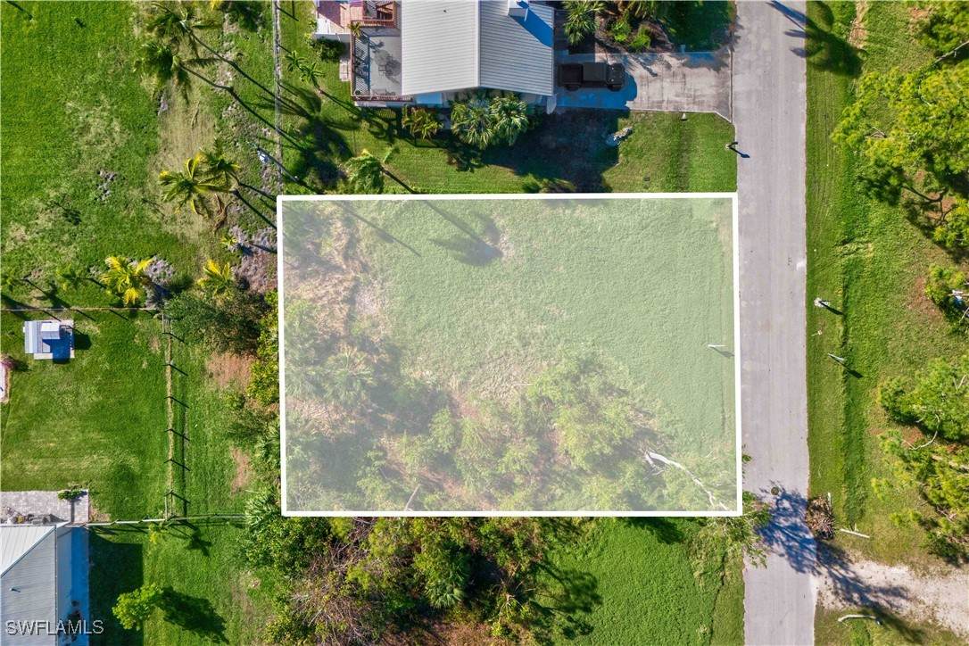7767 Della Bitta Lane - Photo 1