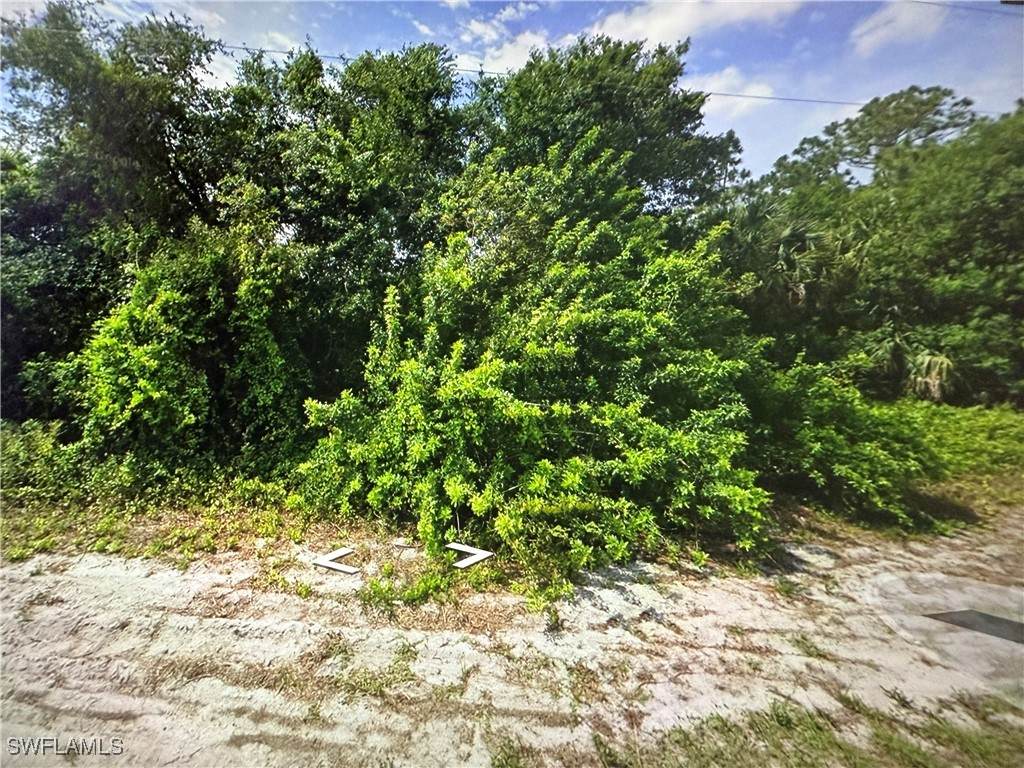 1244 Echard Street - Photo 1