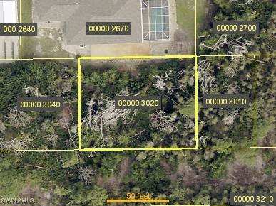 Papaya Avenue - Photo 1