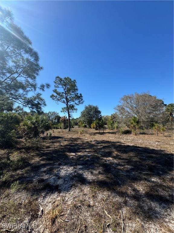 855 Cabbage Palm Street - Photo 1